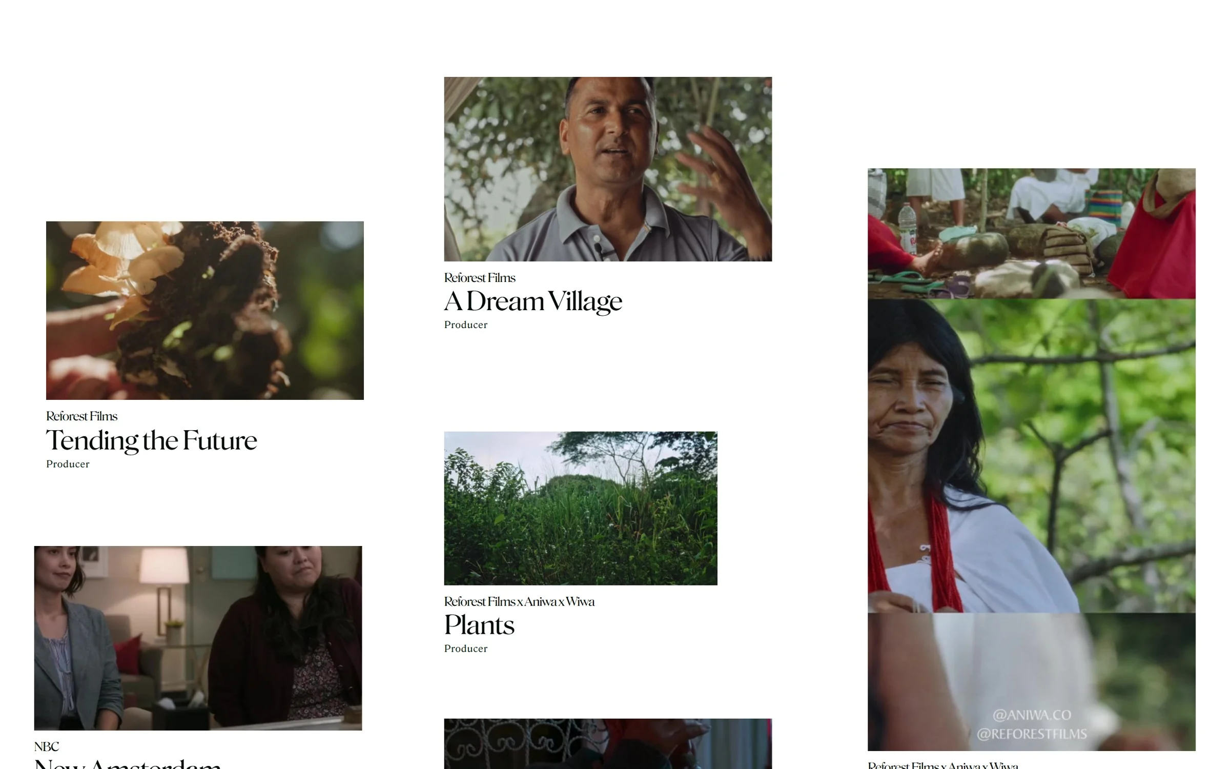 Aurora Leonard’s home page on desktop