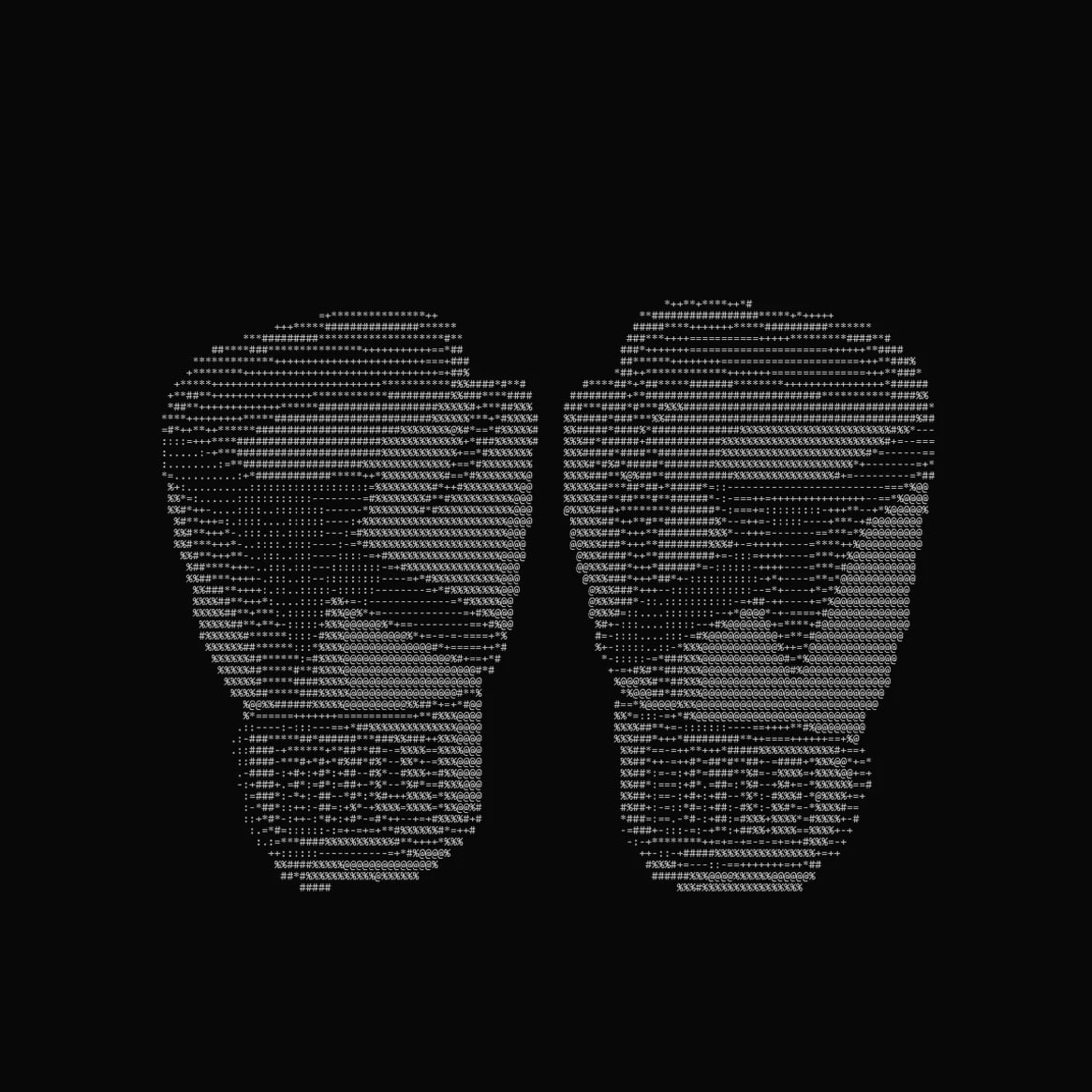 Gambull website: The ASCII boxing gloves illustration from the Gambull features section
