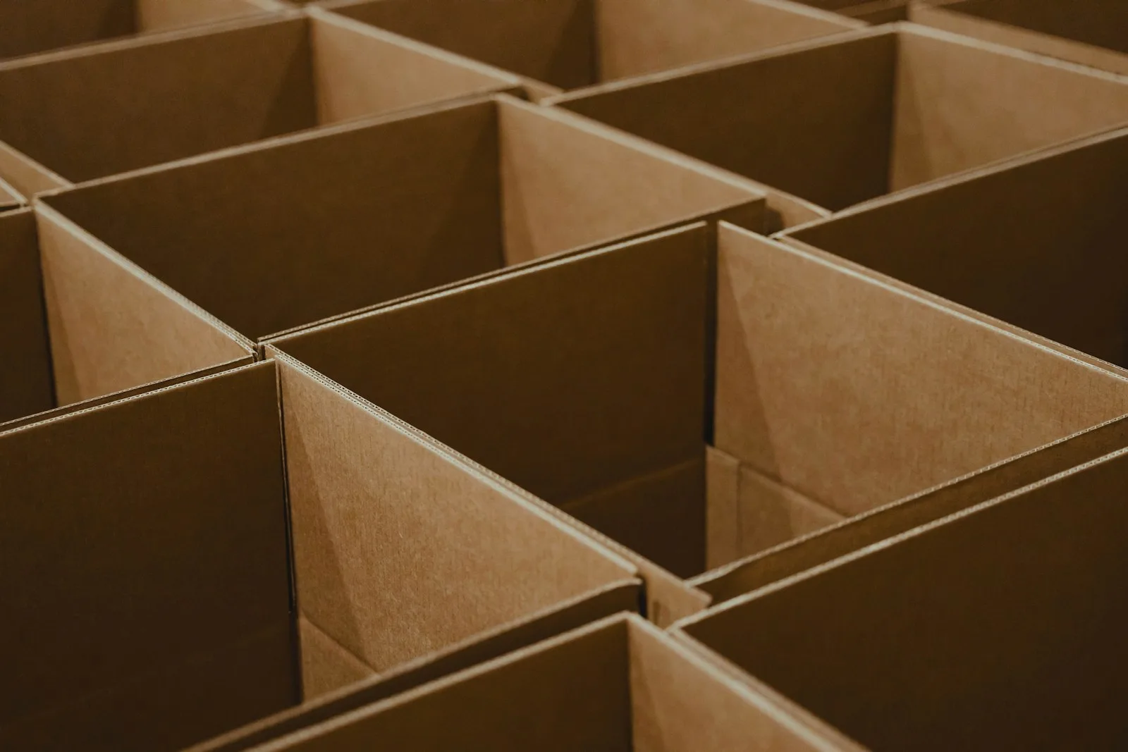 Rows of open, empty cardboard boxes