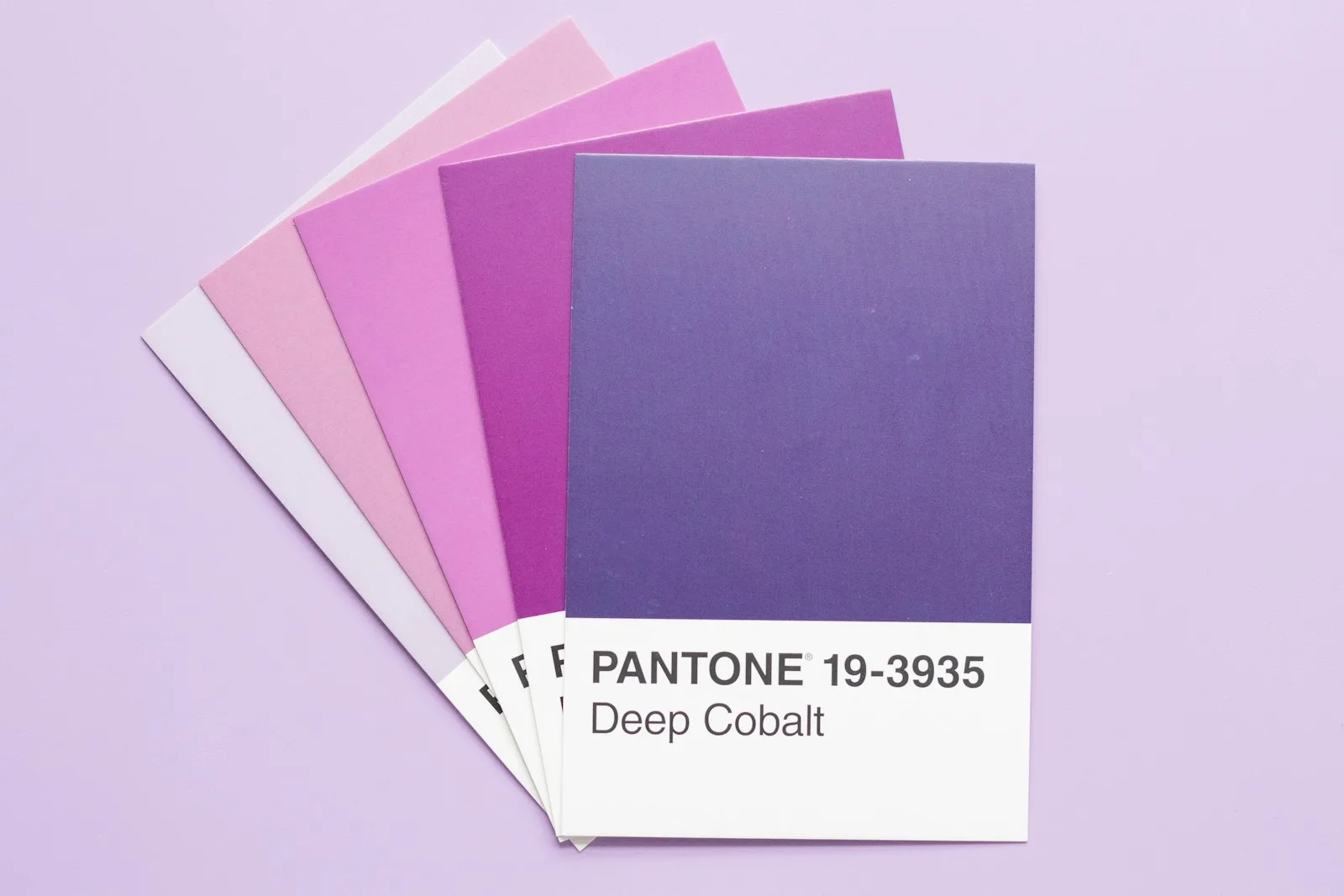 A fan of colour swatch cards from pink to deep blue